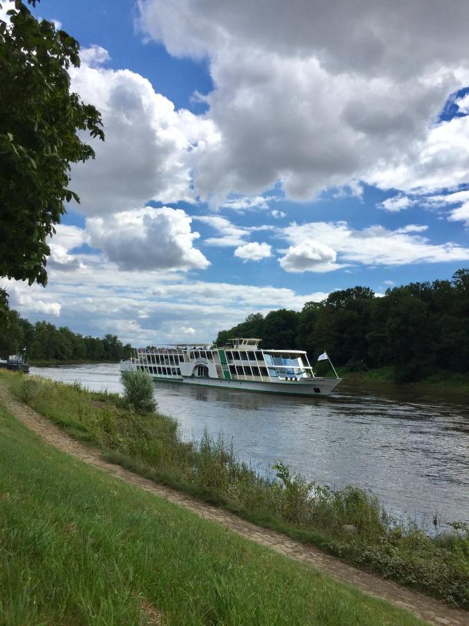 Panoramablick Auf Elbe Und Schlosser Dresden Exterior foto